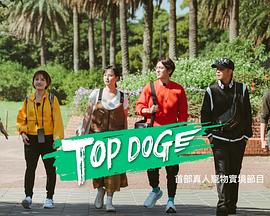探花精品《TOP DOG》免费在线观看