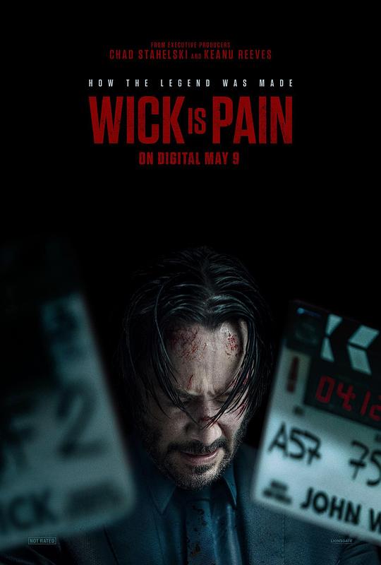 探花精品《疾速剧痛 Wick Is Pain》免费在线观看